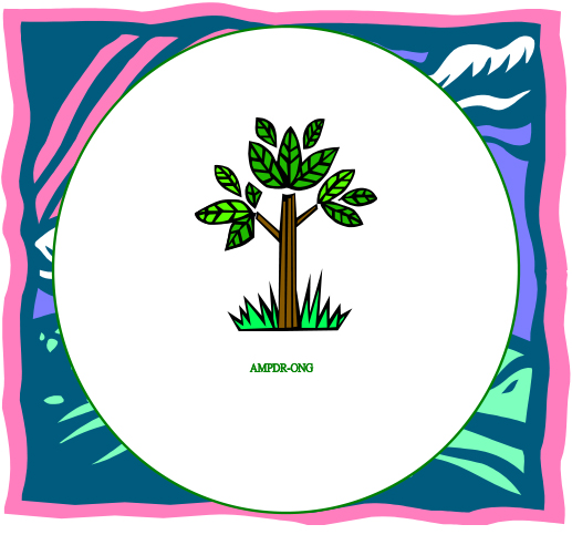 Association Malienne Pour le Développement Rural logo